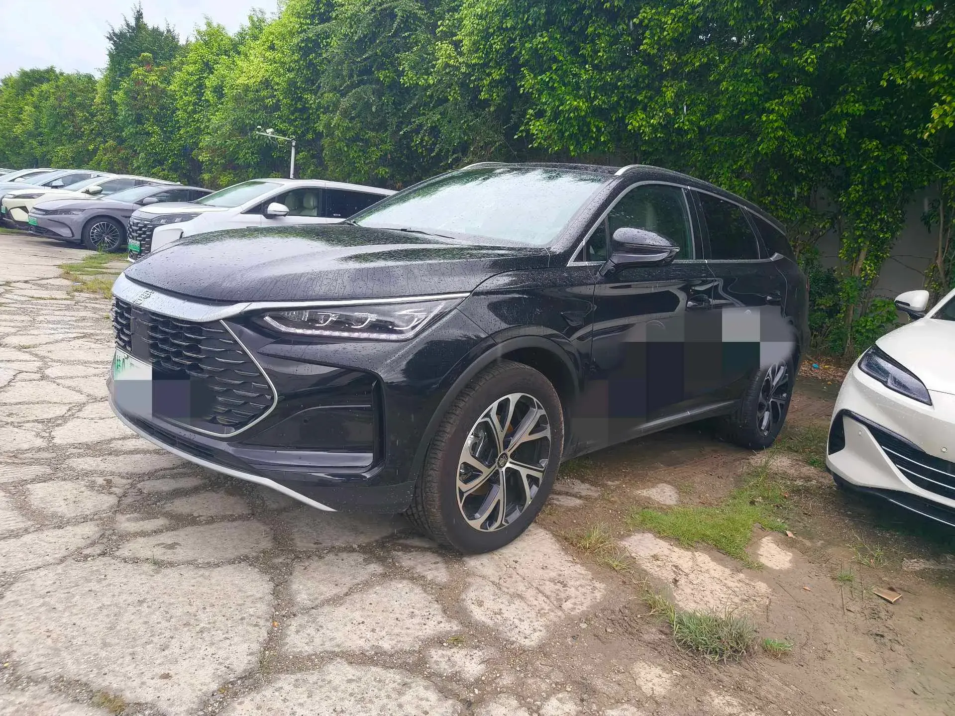 2025 BYD TANG view 1