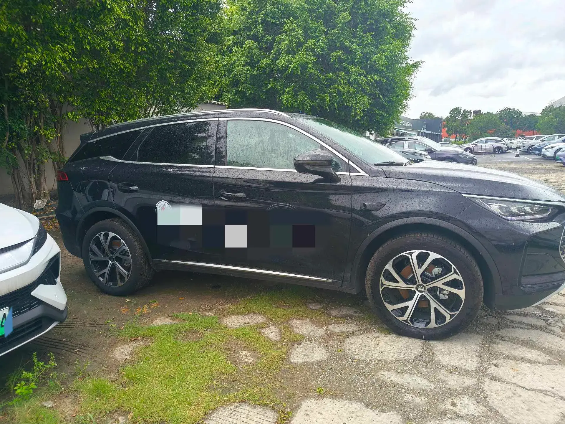 2025 BYD TANG thumbnail 3