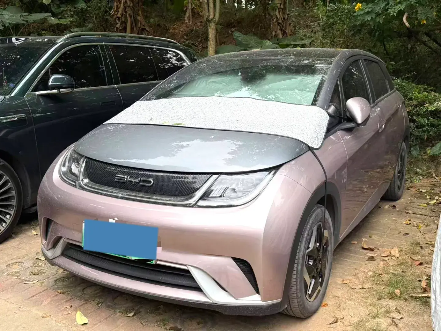 2021 BYD DOLPHIN view 1