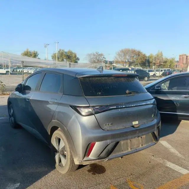 2023 BYD DOLPHIN thumbnail 4