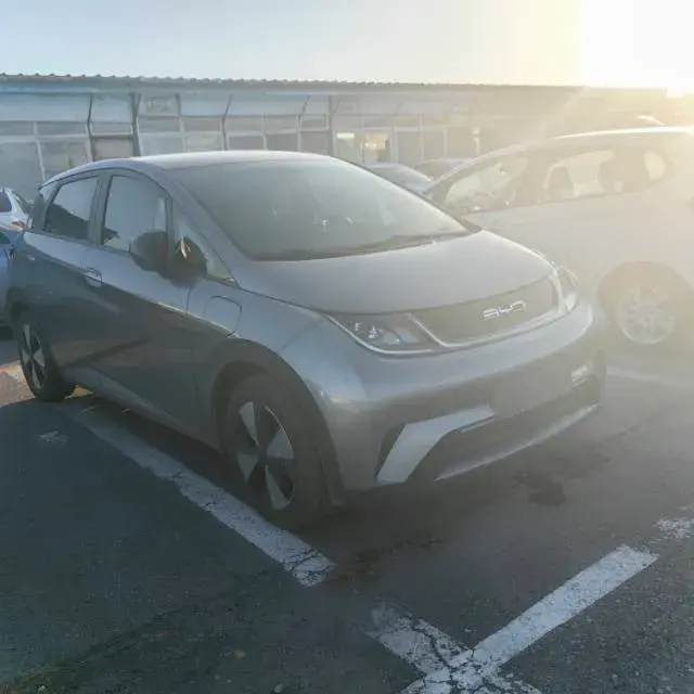 2023 BYD DOLPHIN thumbnail 2