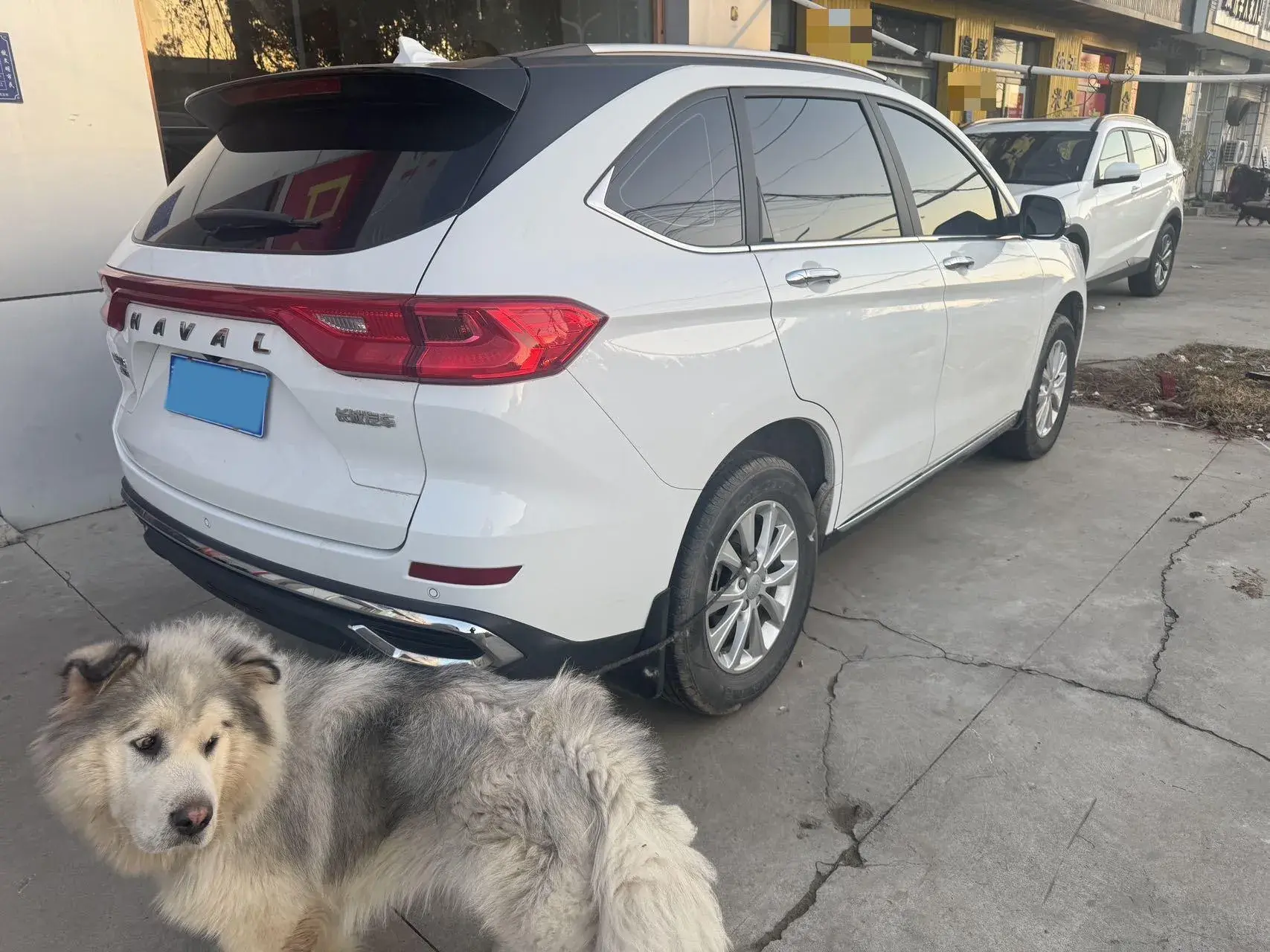 2021 HAVAL M6 thumbnail 4