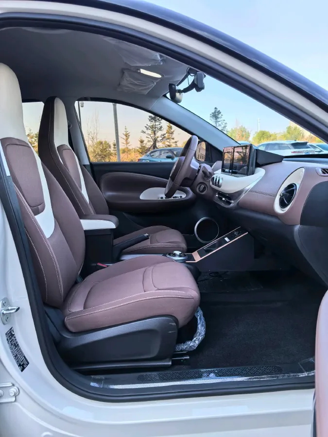 2025 WuLing BinGuo BEV,autocango,china used car exporter,china ev exporter,chinese used car exporter,chinese used ev exporter