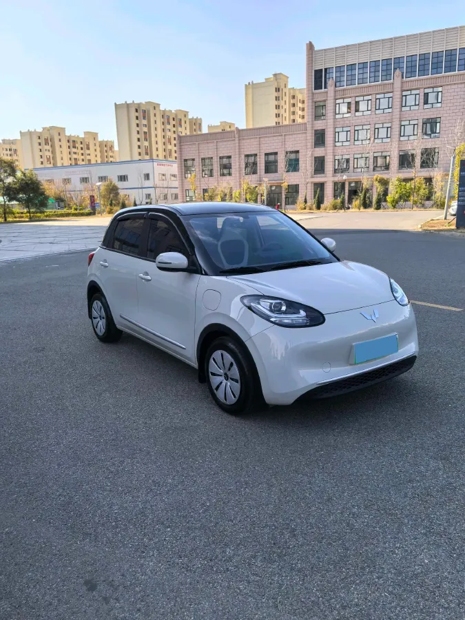 2025 WuLing BinGuo BEV,autocango,china used car exporter,china ev exporter,chinese used car exporter,chinese used ev exporter