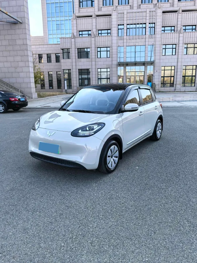 2025 WuLing BinGuo BEV,autocango,china used car exporter,china ev exporter,chinese used car exporter,chinese used ev exporter