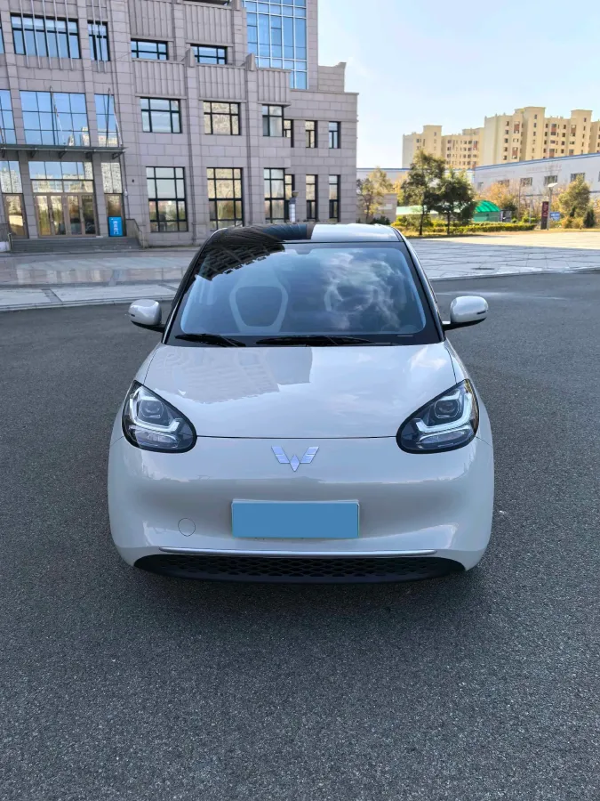 2025 WuLing BinGuo BEV,autocango,china used car exporter,china ev exporter,chinese used car exporter,chinese used ev exporter