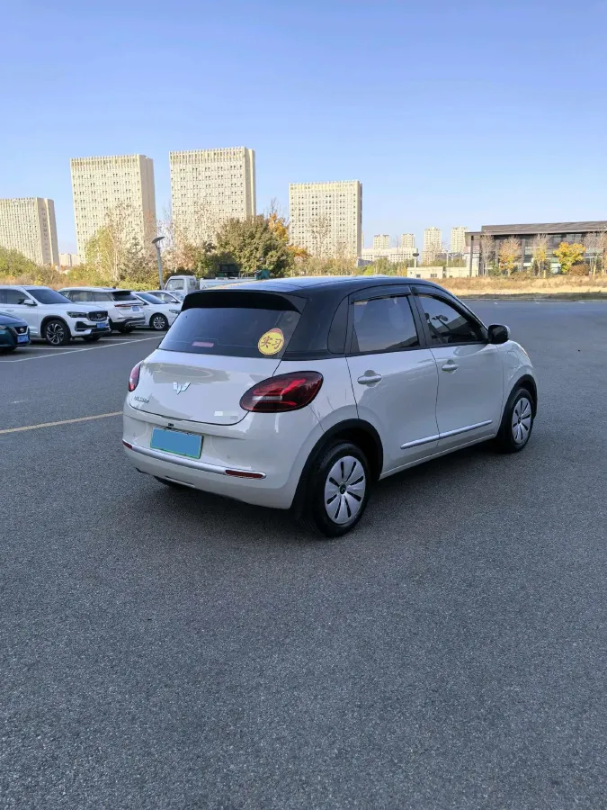 2025 WuLing BinGuo BEV,autocango,china used car exporter,china ev exporter,chinese used car exporter,chinese used ev exporter