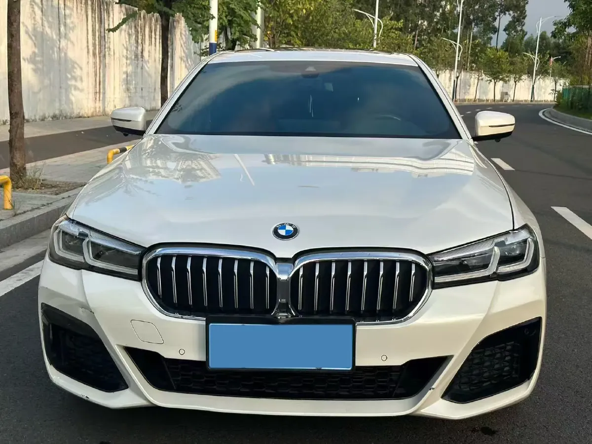 2022 BMW 5 Series 2.0T 252HP L4 8AT,autocango,china used car exporter,china ev exporter,chinese used car exporter,chinese used ev exporter
