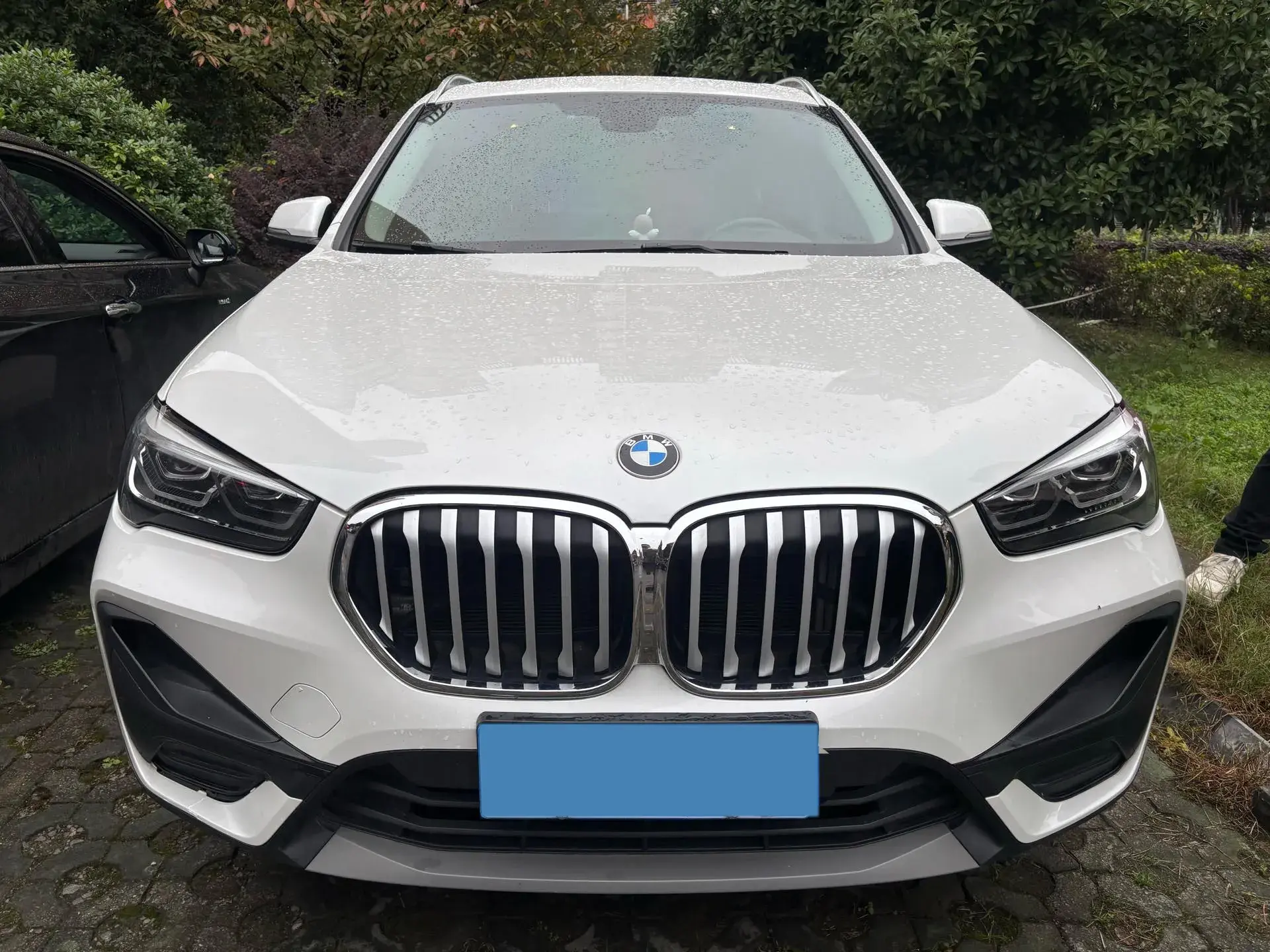 2020 BMW X1 thumbnail 2