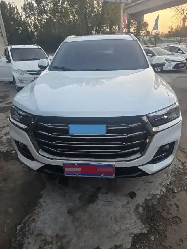 2021 HAVAL H6 thumbnail 2
