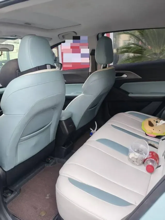 2024 Geometry E BEV 29.67KWH,autocango,china used car exporter,china ev exporter,chinese used car exporter,chinese used ev exporter