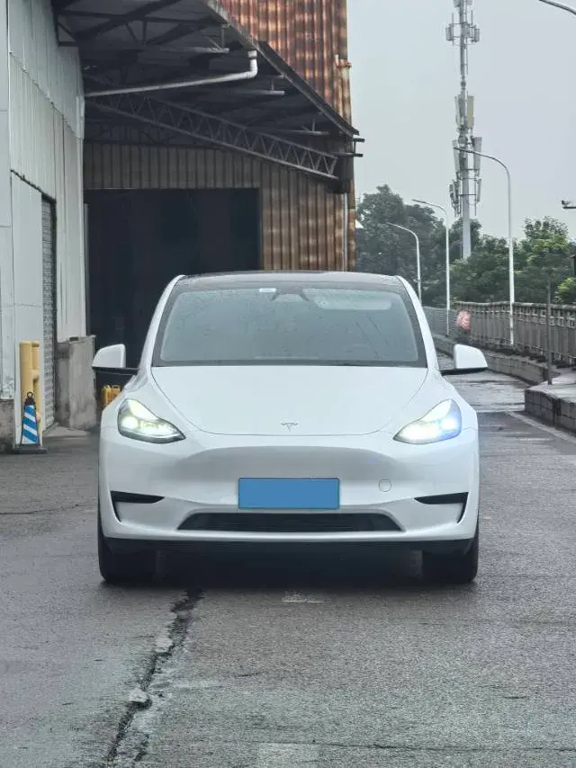 2024 TESLA MODEL thumbnail 2