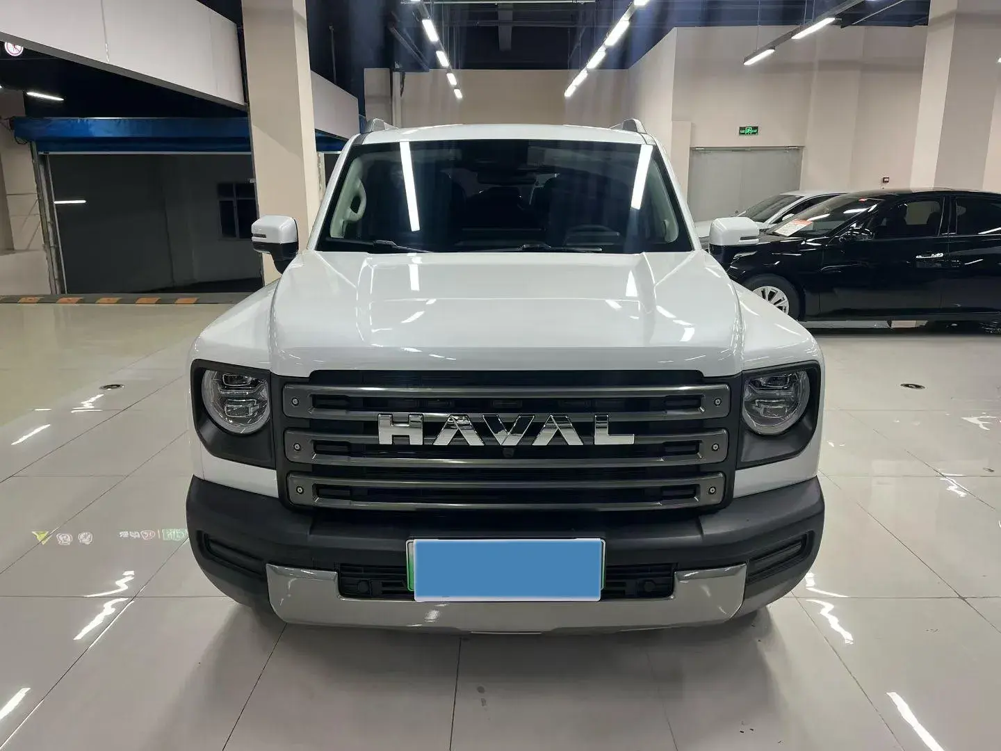 2023 HAVAL RAPTOR thumbnail 2