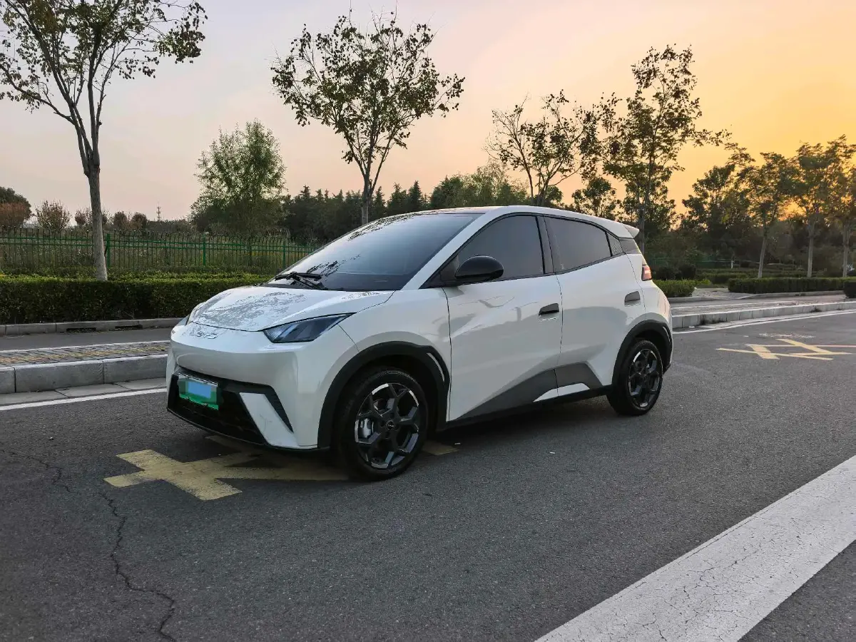 2024 BYD Seagull BEV 38.88KWH