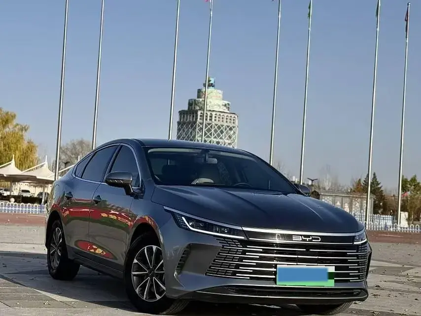 2024 BYD DESTROYER thumbnail 2