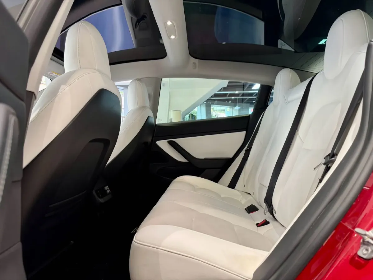 2020 Tesla Model 3 BEV 52KWH,autocango,china used car exporter,china ev exporter,chinese used car exporter,chinese used ev exporter