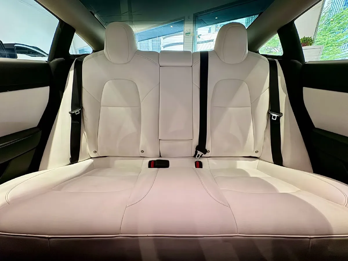 2020 Tesla Model 3 BEV 52KWH,autocango,china used car exporter,china ev exporter,chinese used car exporter,chinese used ev exporter