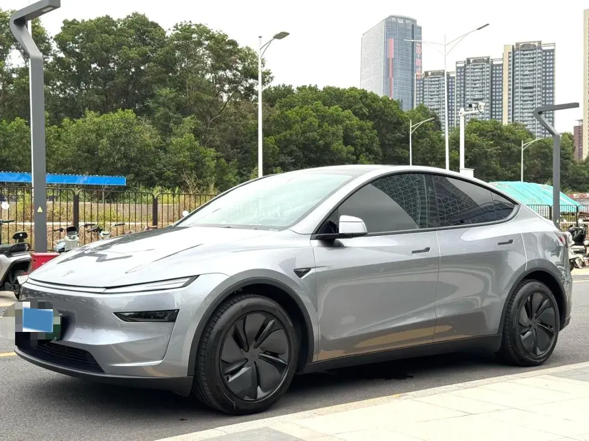 2025 TESLA MODEL view 1