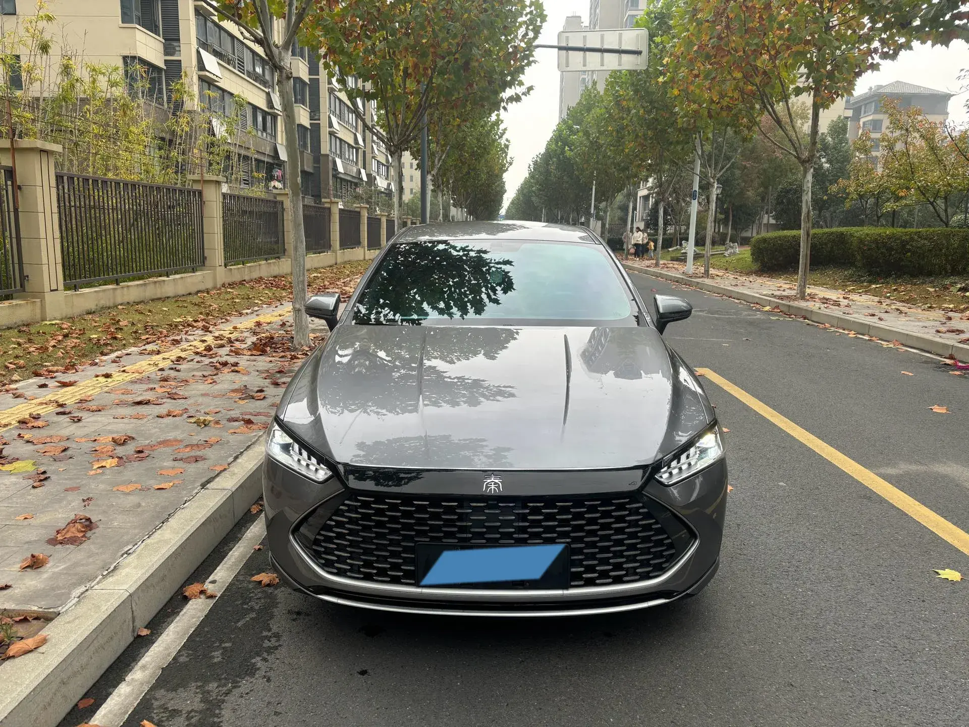 2023 BYD QIN thumbnail 2