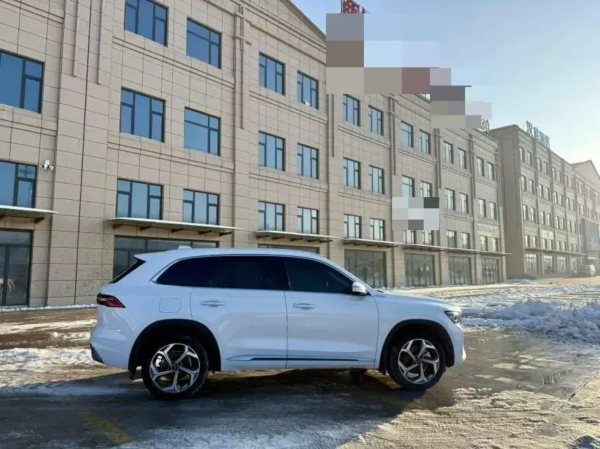 2021 GEELY MONJARO thumbnail 3