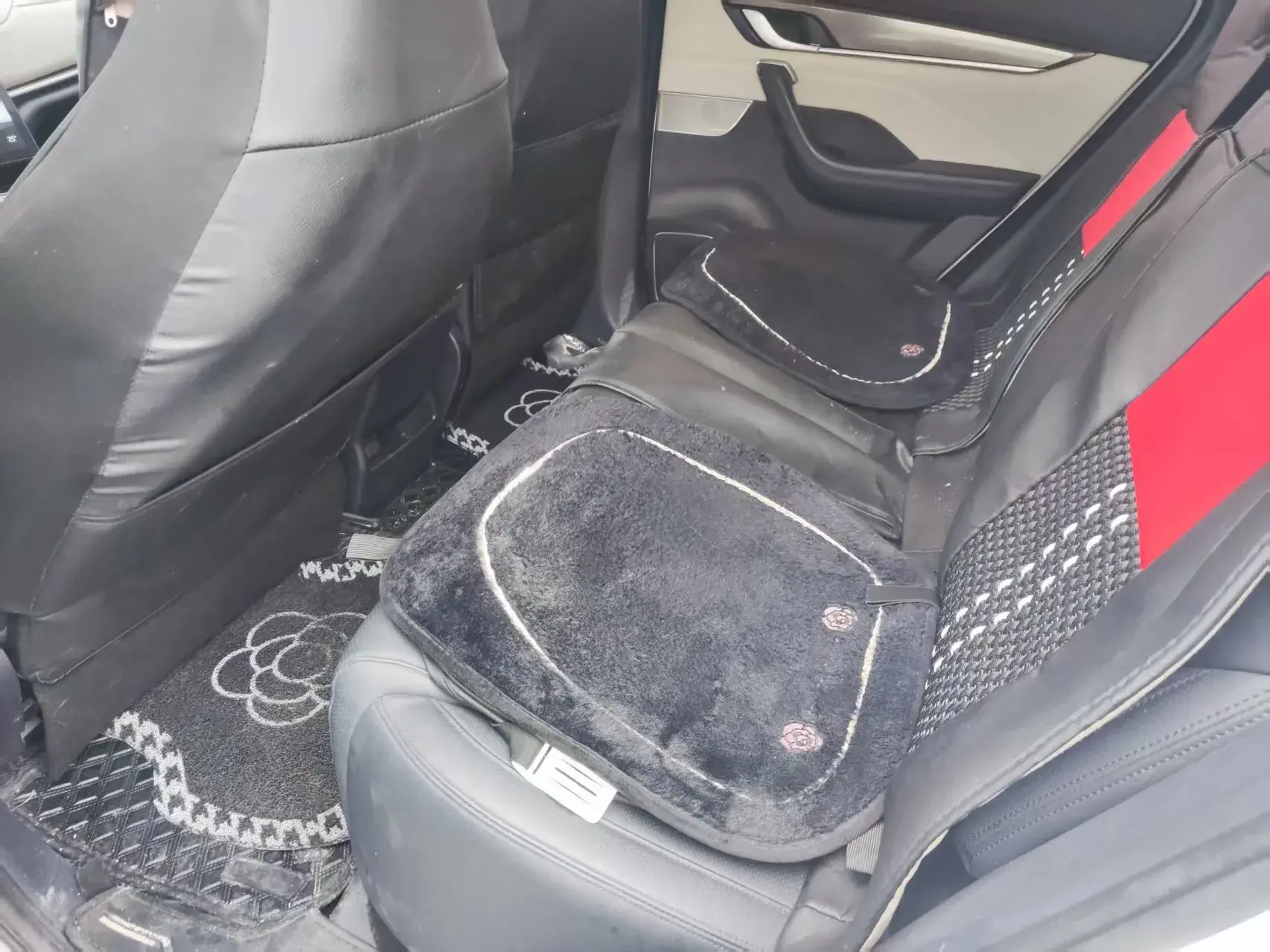 2021 WELTMEISTER EX5 thumbnail 4