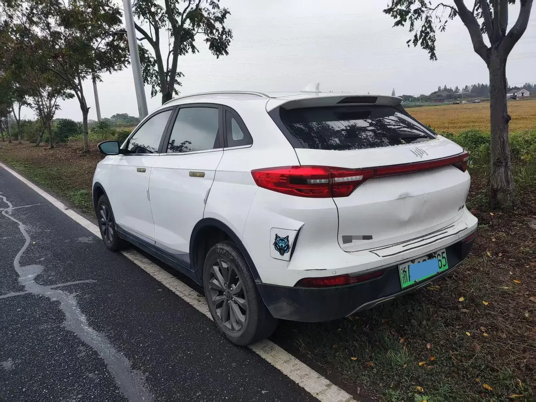 2021 WELTMEISTER EX5 thumbnail 2