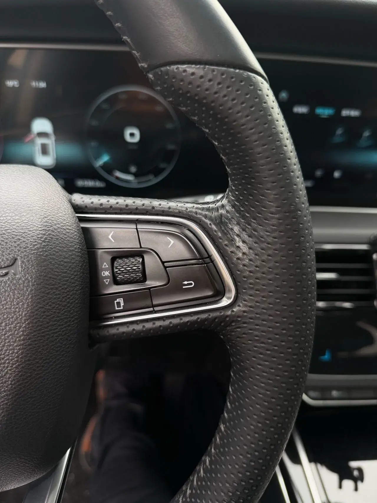 2019 HONGQI HS5 thumbnail 3