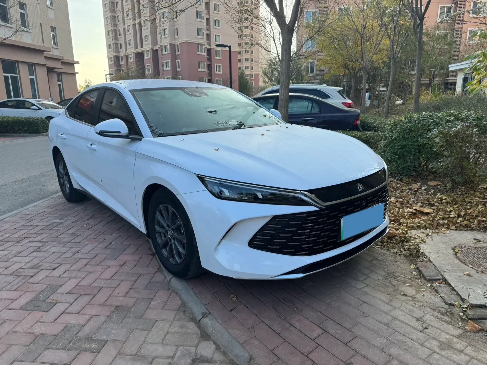 2024 BYD QINL thumbnail 2