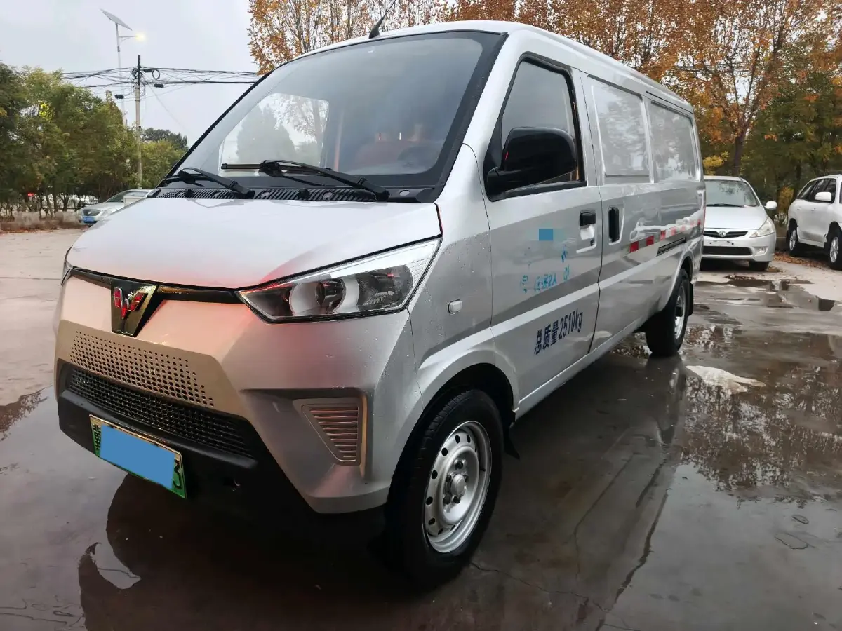 2021 WuLing EV50 BEV 43.2KWH