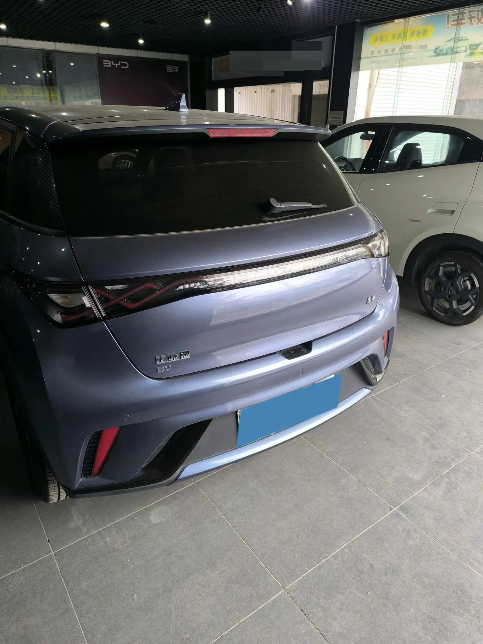 2024 BYD DOLPHIN thumbnail 3