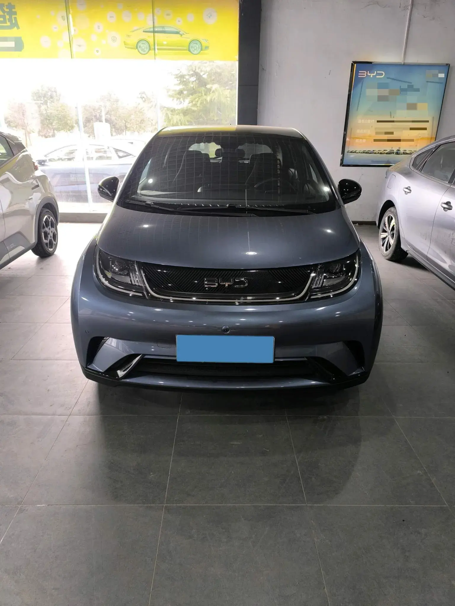 2024 BYD DOLPHIN thumbnail 2