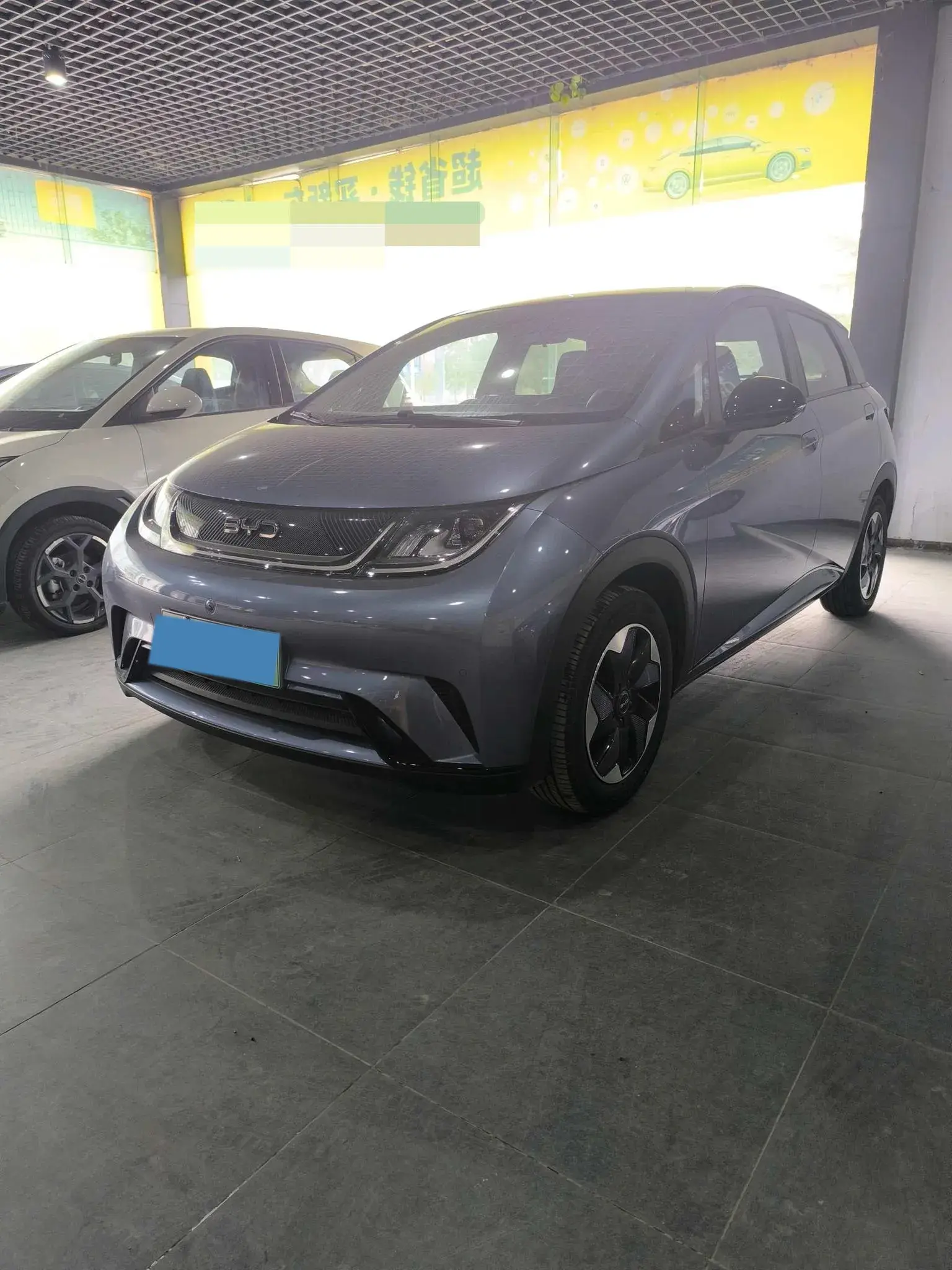 2024 BYD DOLPHIN view 1