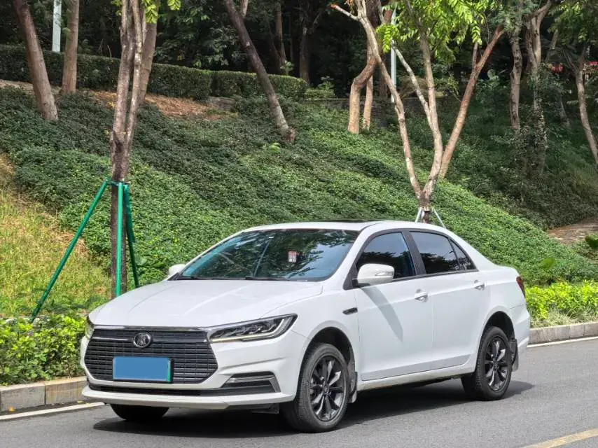 2019 BYD QIN view 1