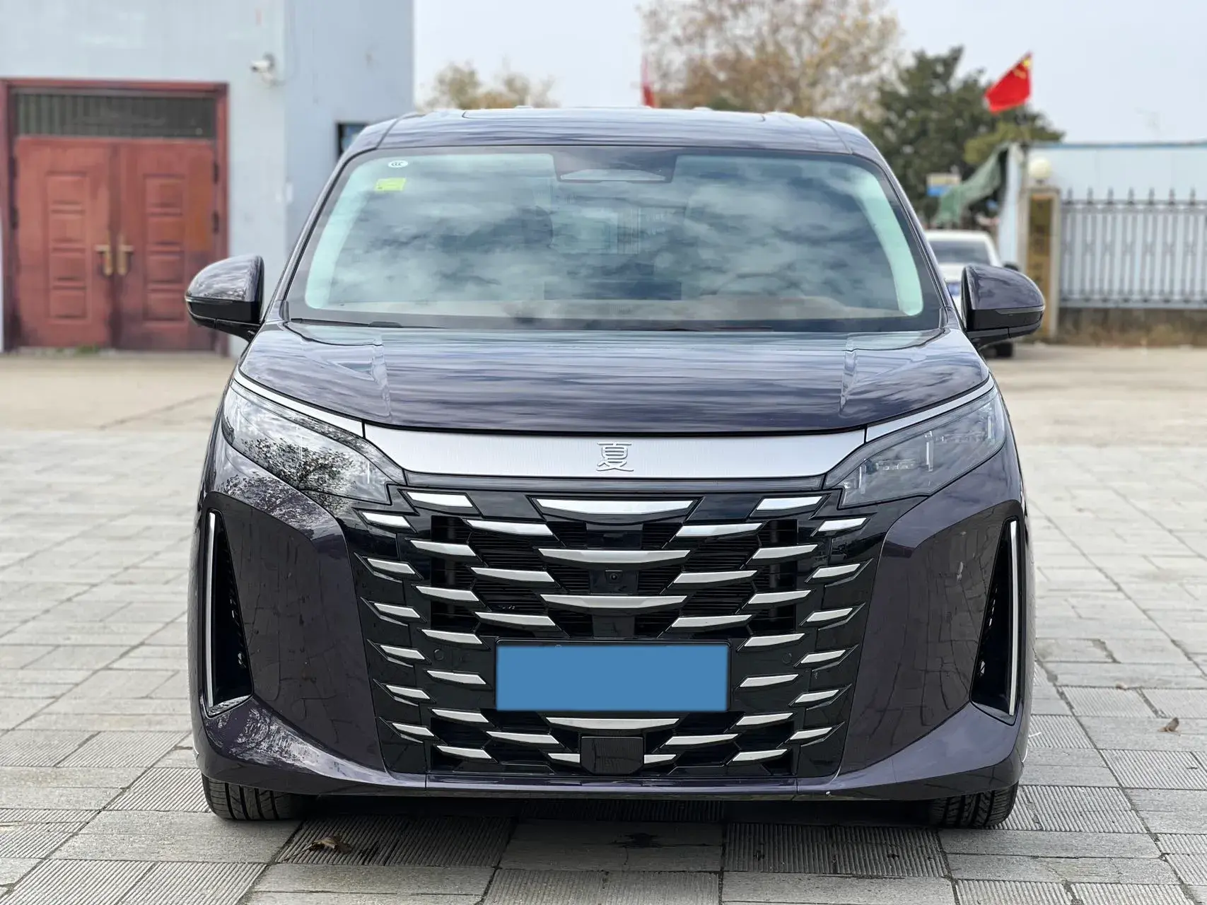 2025 BYD XIA thumbnail 3