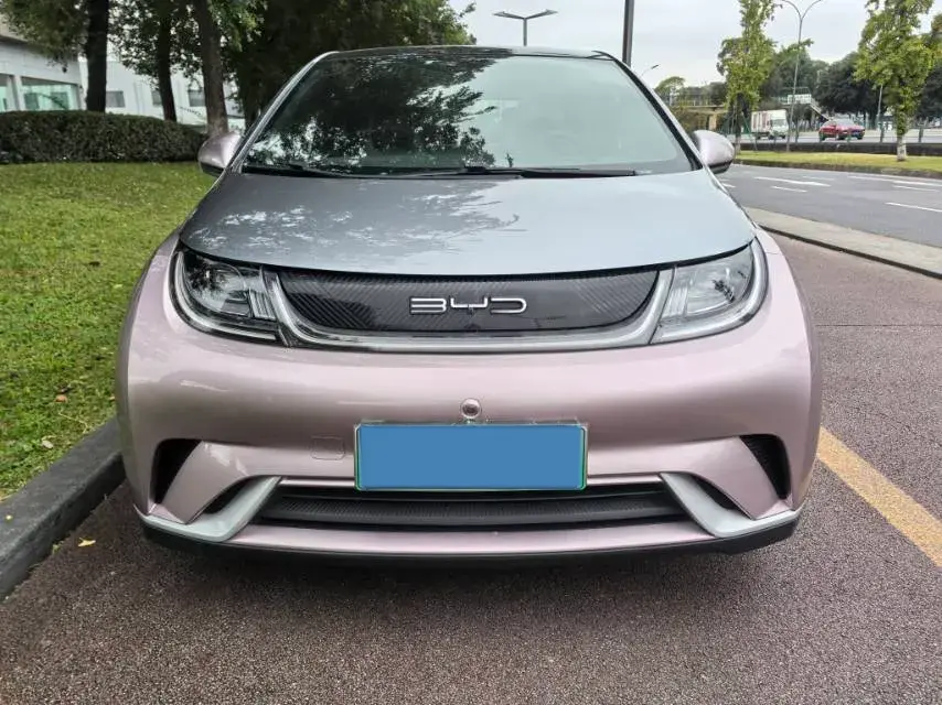 2021 BYD DOLPHIN thumbnail 2