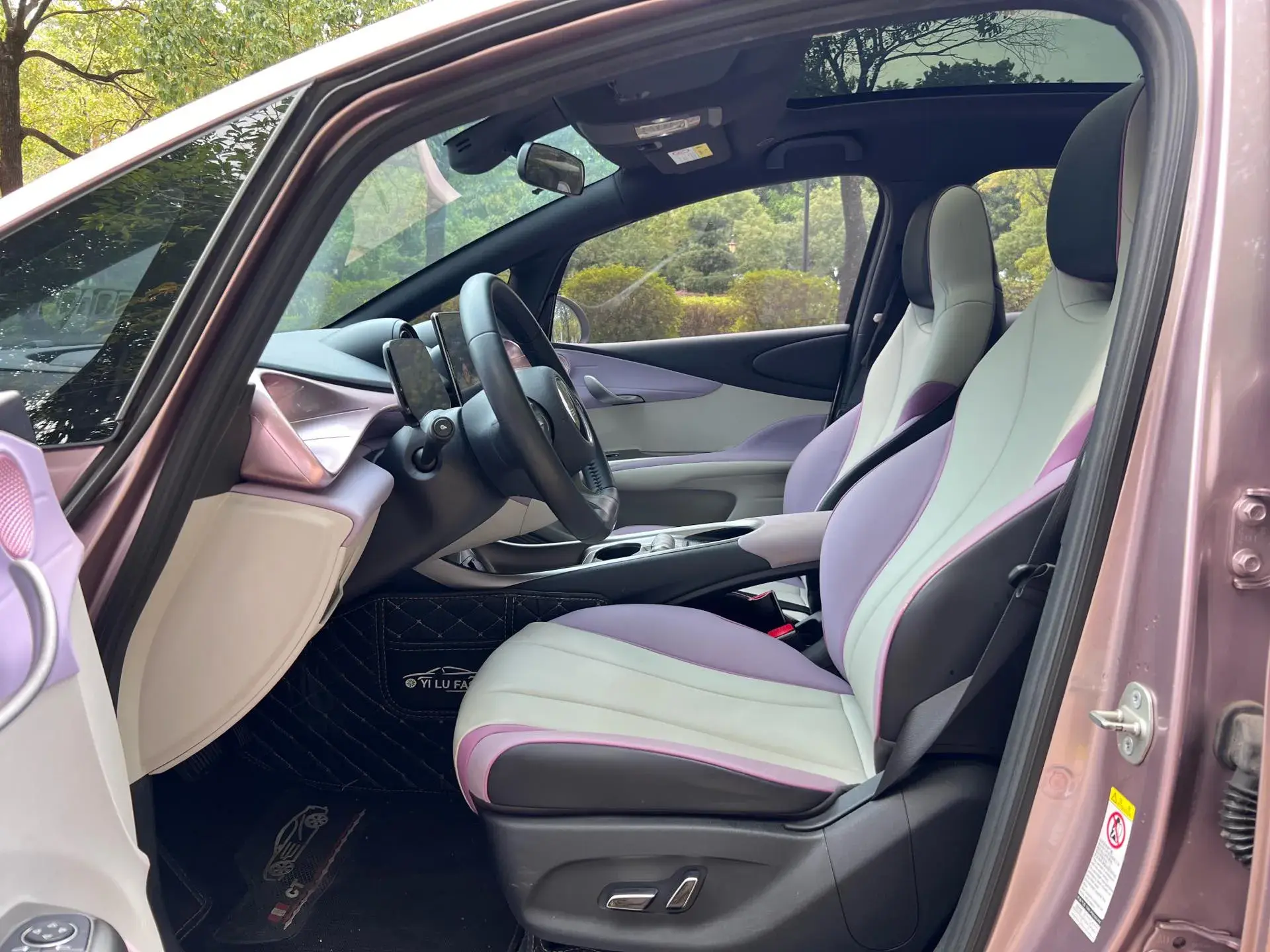 2021 BYD DOLPHIN thumbnail 4