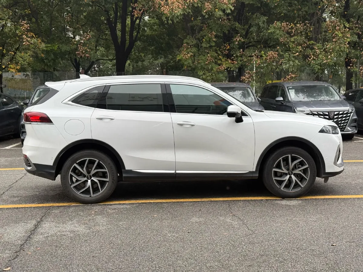 2022 WEY Latte 1.5T 156HP L4 2DHT PHEV 34KWH,autocango,china used car exporter,china ev exporter,chinese used car exporter,chinese used ev exporter