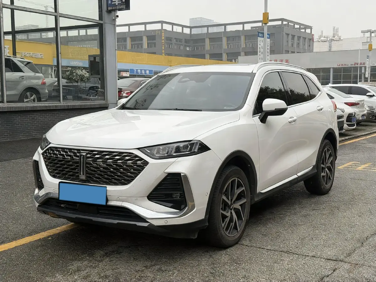 2022 WEY Latte 1.5T 156HP L4 2DHT PHEV 34KWH