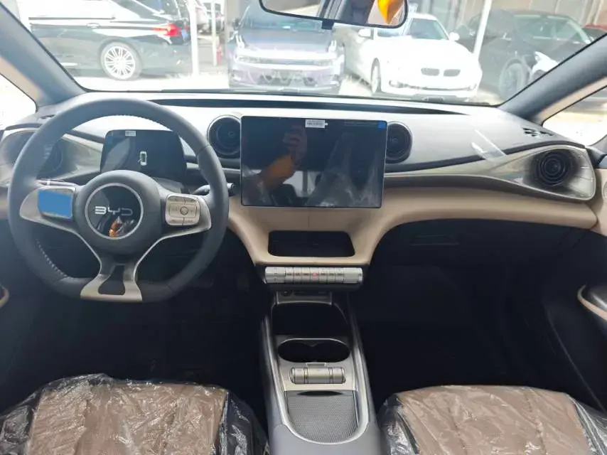 2025 BYD DOLPHIN thumbnail 4