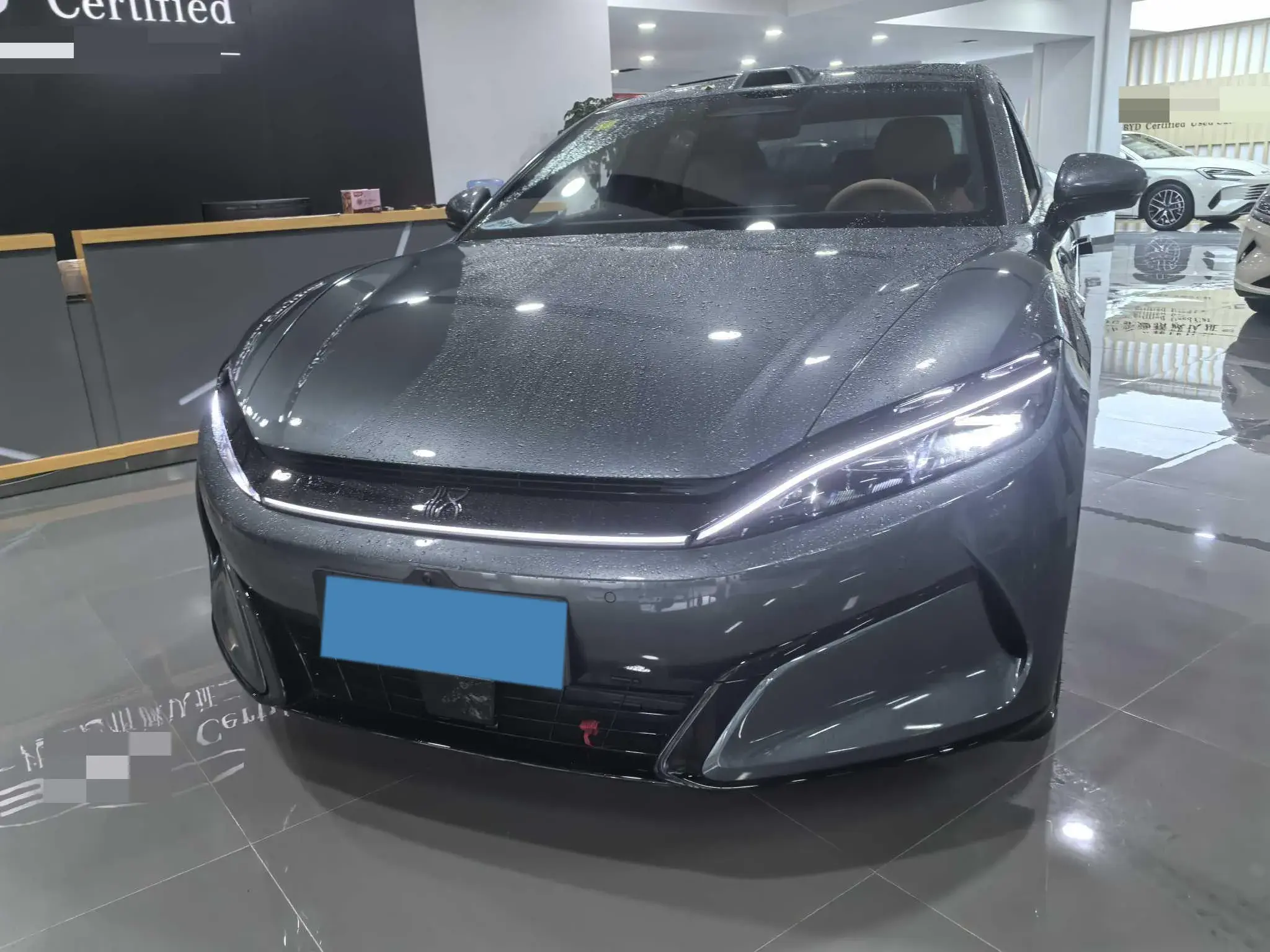 2025 BYD HANL thumbnail 2