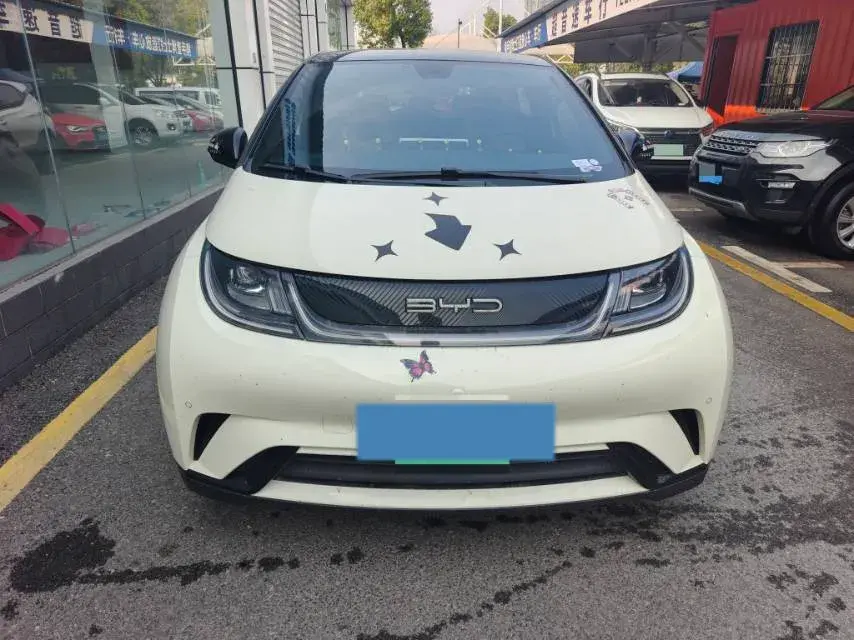 2023 BYD DOLPHIN thumbnail 2