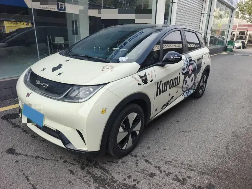 2023 BYD DOLPHIN view 1