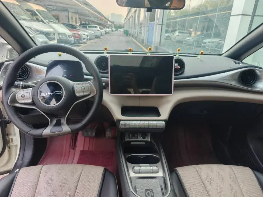 2023 BYD DOLPHIN thumbnail 4