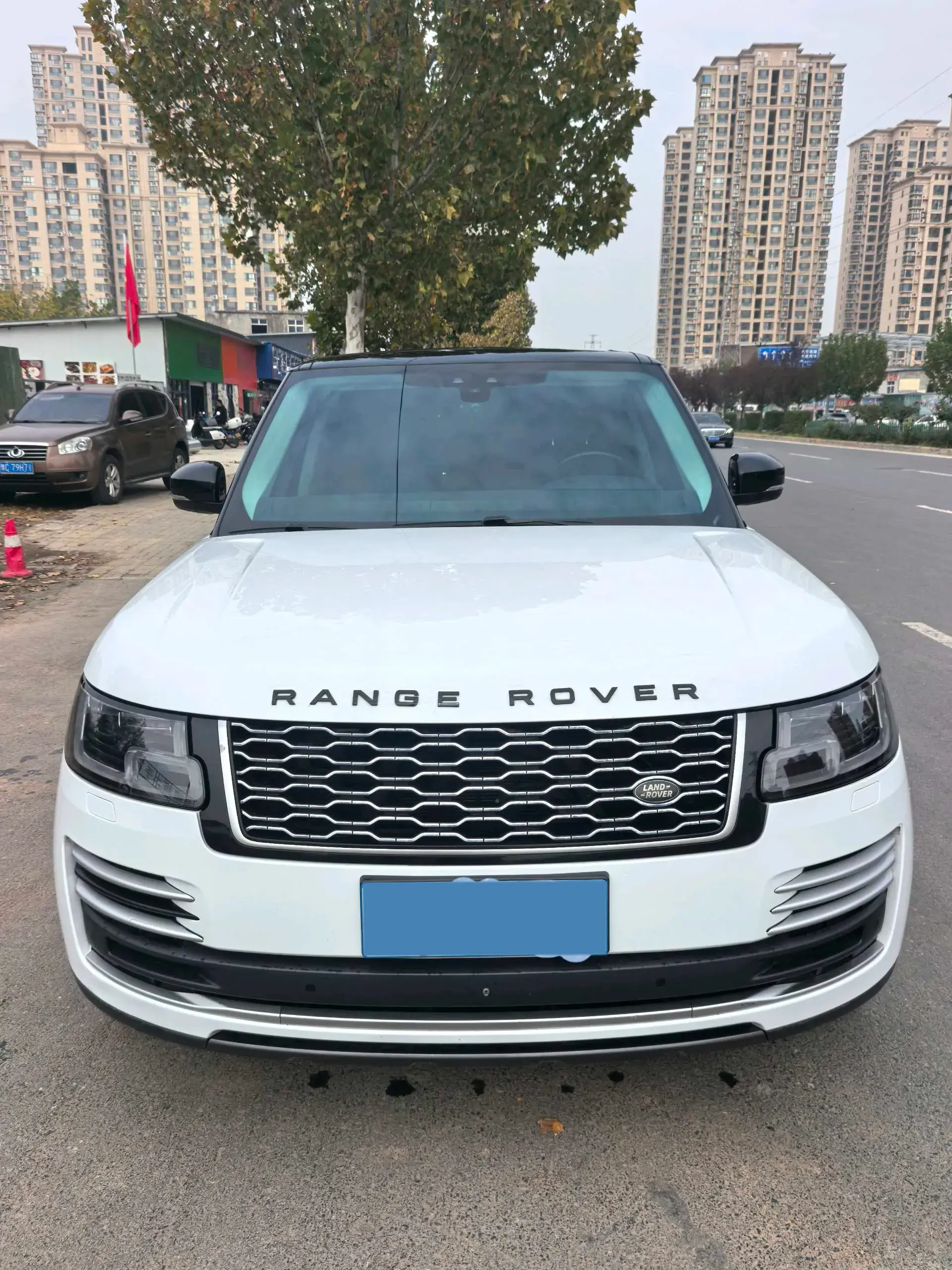 2019 LAND ROVER thumbnail 2