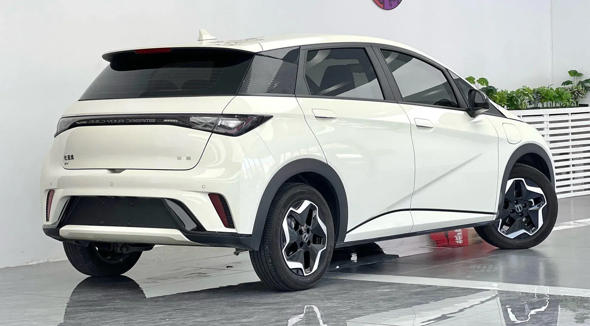 2025 BYD DOLPHIN thumbnail 3