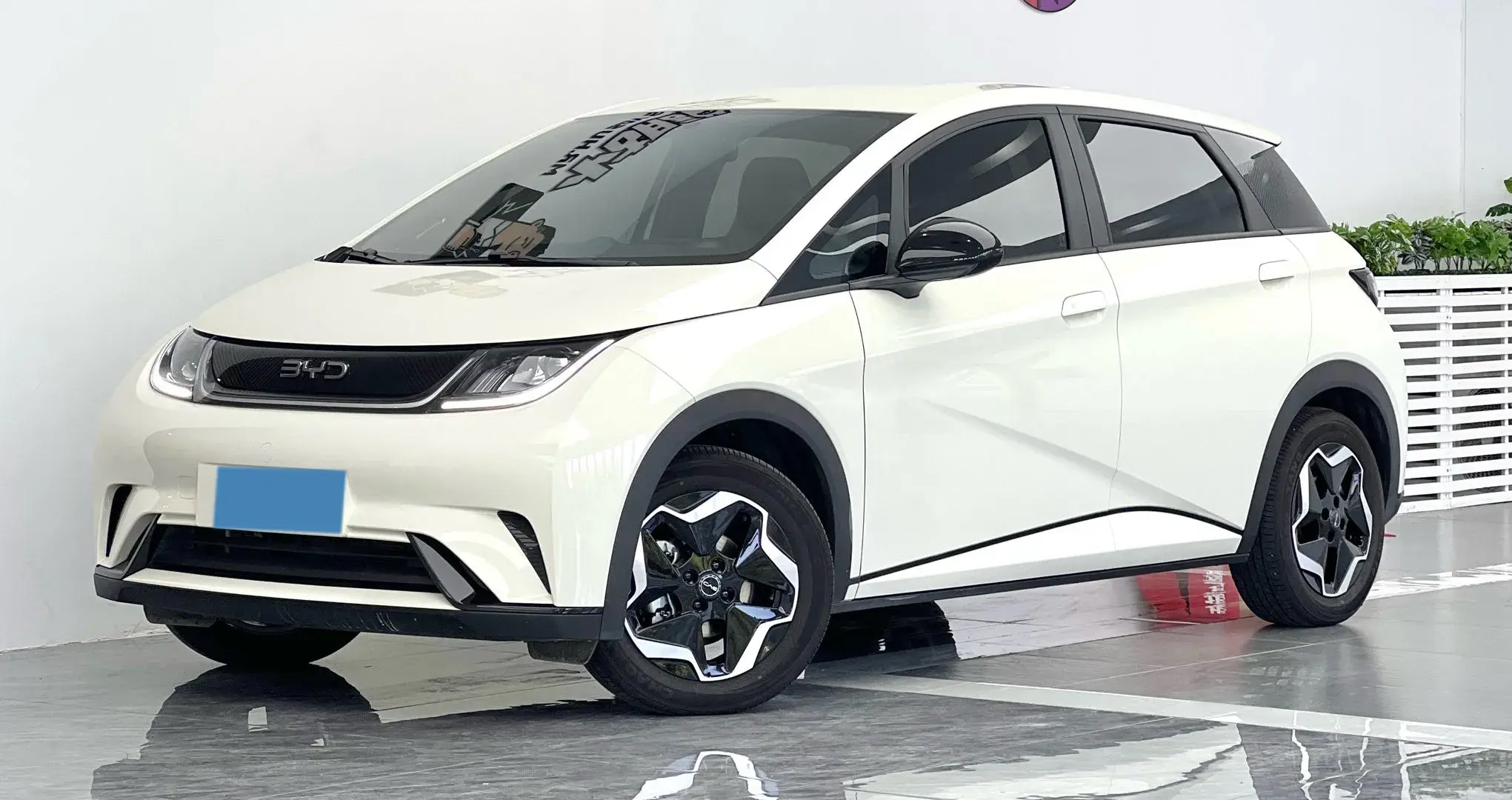 2025 BYD DOLPHIN view 1