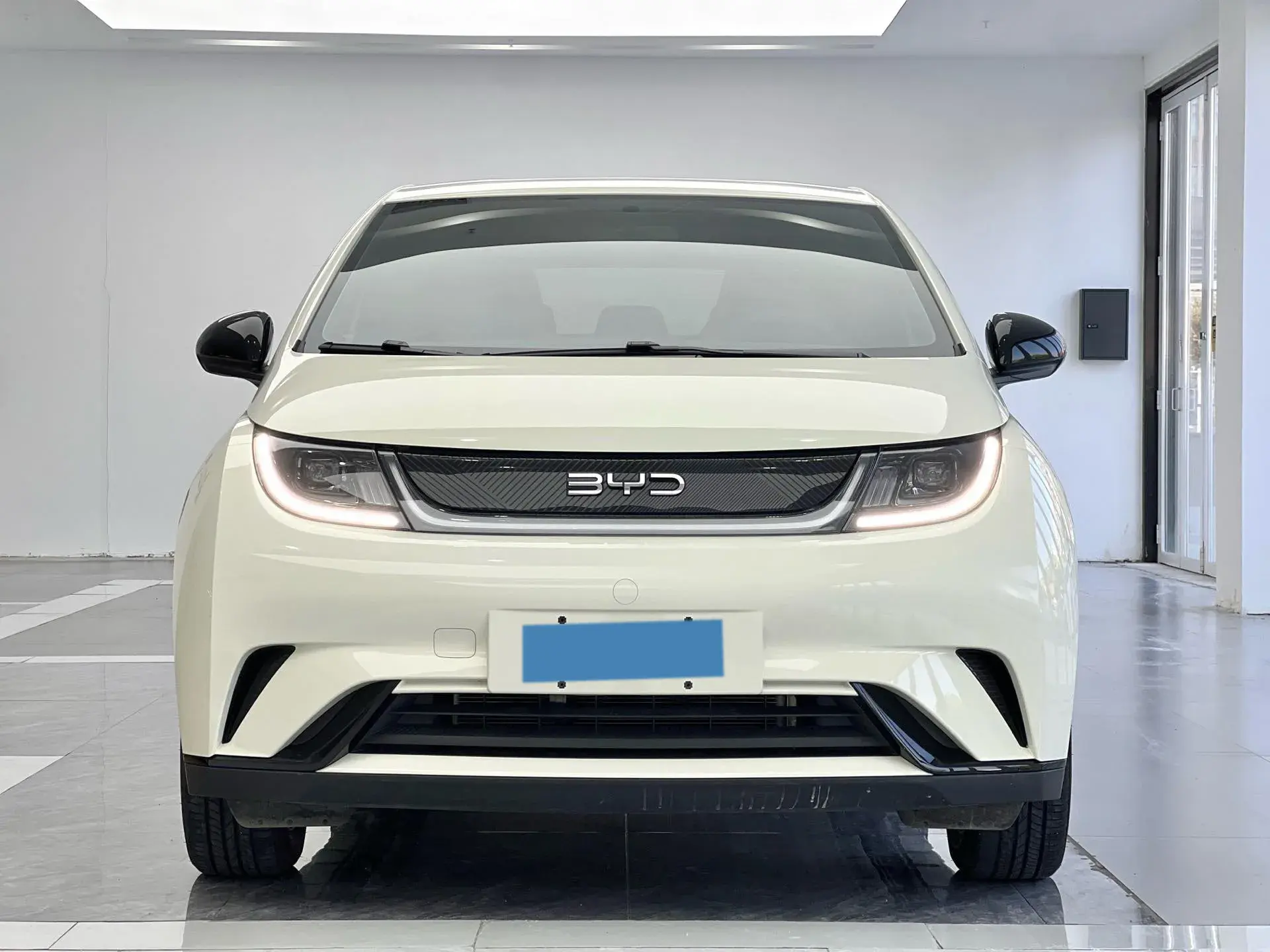 2025 BYD DOLPHIN thumbnail 2