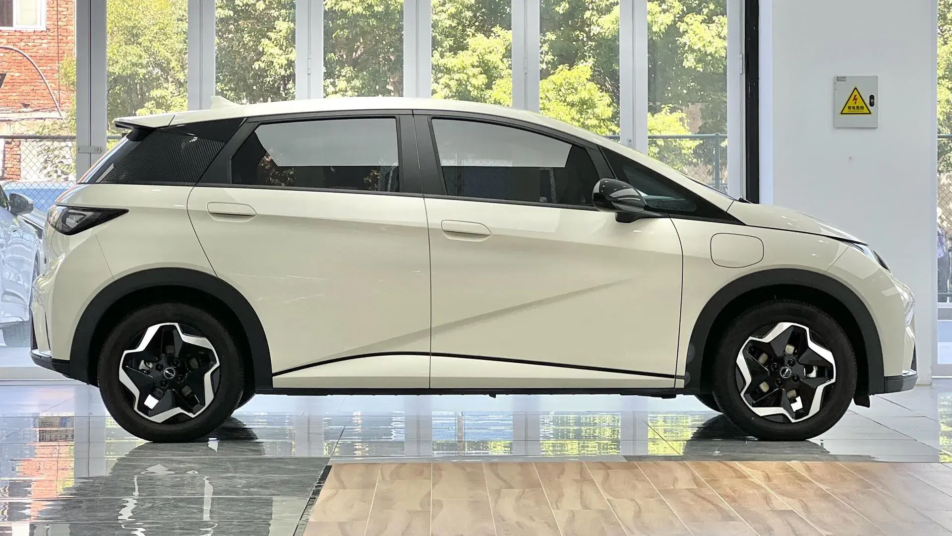 2025 BYD DOLPHIN thumbnail 4