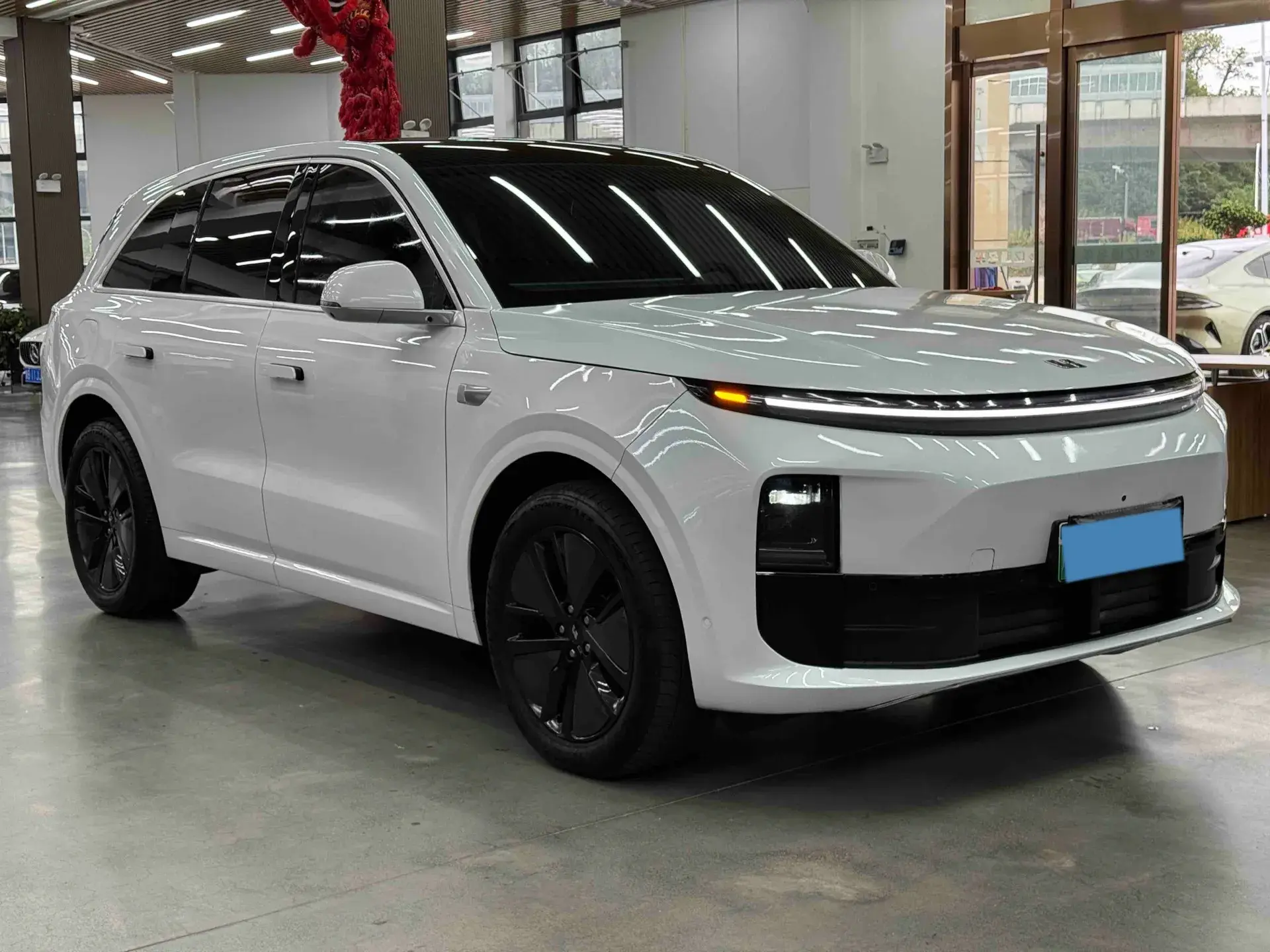 2024 LI L6 thumbnail 3