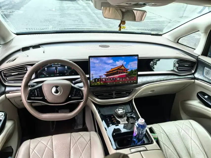 2022 DENZA D9 thumbnail 4